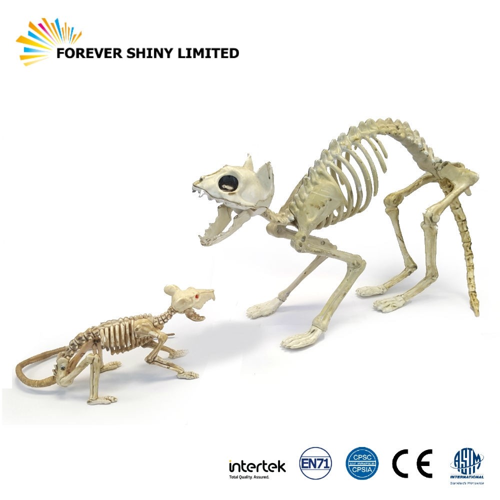 skeleton cat toy