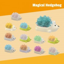 Magical Hedgehog